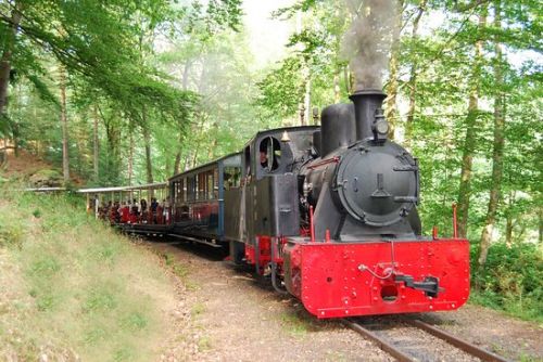 Voyagez à bord d'un train tracté par une authentique locomotive à vapeur datant de 1906 pour la plus ancienne. Animations durant tous l'été. Crédit photo : ACFA Locomotive à vapeur - Train forestier d'Abreschviller