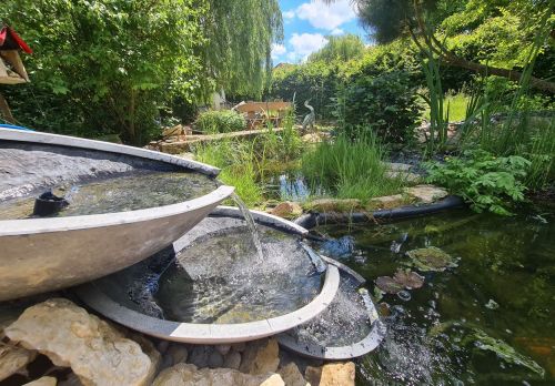 Jardin Jardin