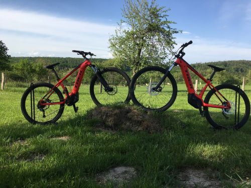 Location de vél'Oh en Alsace Bossue Loc' Bike de Grunewald