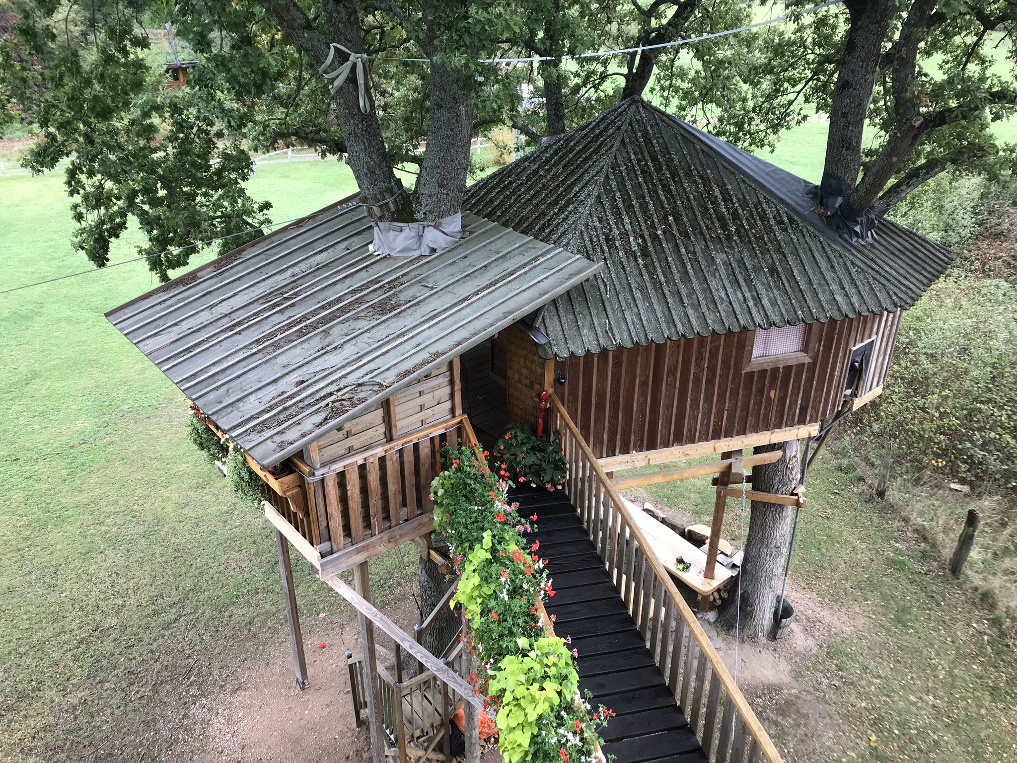 Hébergement insolite en Alsace Bossue L'Arche de Noé - Keskastel